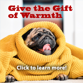 Gift of Warmth